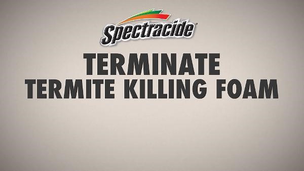 Spectracide 16 oz. Terminate Termite Killing Foam (Insect Killer) HG-53370-7