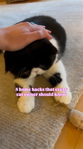 Which hack are you trying first? Living with cats means getting creative, here are 5 clever hacks every cat owner should know: 🐾Weigh down your décor: Keep curious paws from sending things flying by adding pebbles, marbles, or weights inside vases, jars, or lightweight decor. 🐾Rotate toys and furniture: Store some toys and reintroduce them later, when they “come back,” they feel brand new and reignite curiosity. Even shifting a scratching post to a new spot can make it more exciting. 🐾Pick th