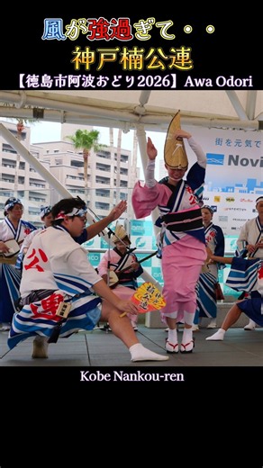 風が強過ぎて・・神戸楠公連❗【徳島市阿波踊り2026】 アミコドームAwa odori