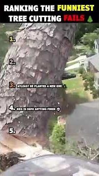 Ranking the funniest tree cutting fails!