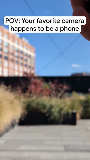 POV: Your favorite camera happens to be a phone #Pixel8 #Photography #Google