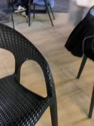 Must-Have Pokemon Toys for Every Collector!