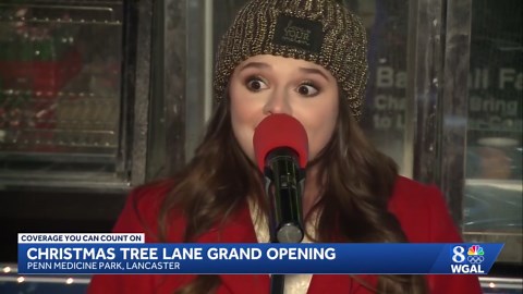 Christmas Tree Lane opens in Lancaster with over 100 trees