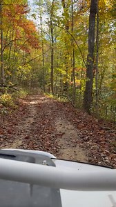 7.2K views · 67 reactions | Fall is here, and it might be getting colder, but the trails are still calling. At Southern Gap Outdoor Adventure, you can ride straight from your campsite onto more than 200 miles of ATV trails. Bring your machine, your crew, and take in the mountain views while you explore the trails right outside your cabin or campsite. #southerngapoutdoor #natureswonderland #loveva #visitva #heartofappalachia #townofgrundy | Southern Gap Outdoor Adventure | Facebook