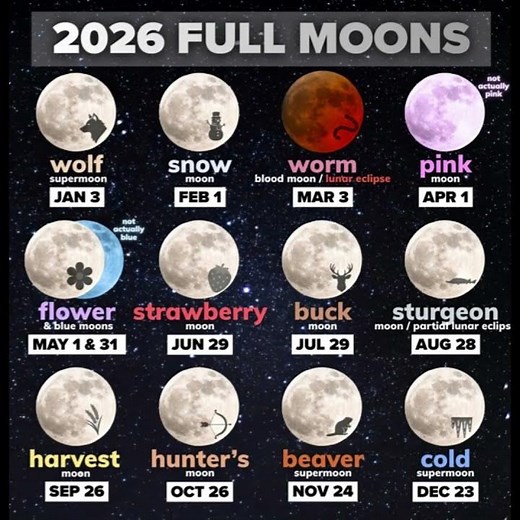 2026 Full Moon Calendar! 🌕 (Don't Miss These Dates)