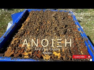 Άνοιξη προ των πυλών. Φεβρουάριος 2024