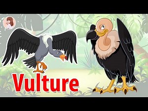 10 Facts About Vultures