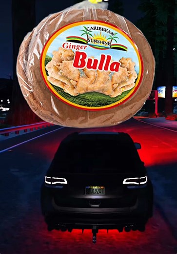 Credit Card bill ago high 😭 @deno_crazy #realogcassie #gtarpmoments #gtaroleplay