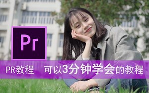 【pr教程】爱XX横行，史上最简单的0基础教学，制作视频属于自己的小视频