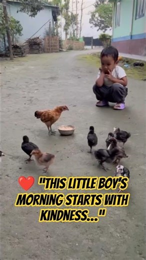 Rayn wakes up early in the morning with smile.His favorite job is waiting feeding his little chicks