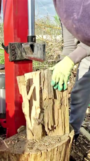 Vertical Log Splitter #logsplitter #firewood