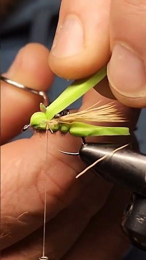 It's one of the best Hopper Patterns! #flytying #flyfishing #fishing