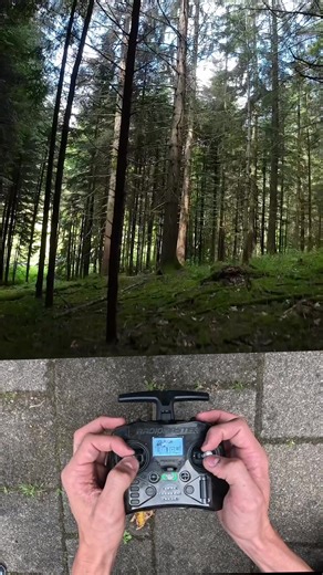 Forest Action 🌳🌲#fpv #freestyle #drohne #selfbuild