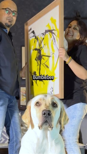 Dali’s 34th painting has a beautiful name 🐝💛 #dali #dog #artist #abstractart