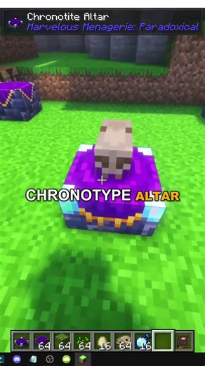 WIE MAN RITUALE IN MINECRAFT MARVELOUS MENAGERIE PARADOXICAL DURCHFÜHRT
