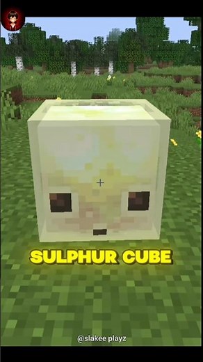 This Minecraft New Mob Can Climb Block 😱