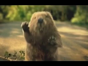 Beaver Saves A Man's Life - Funny Ad