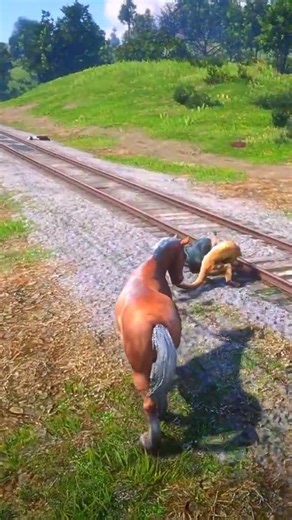 sinh tồn mô phỏng p2410 , #shorts