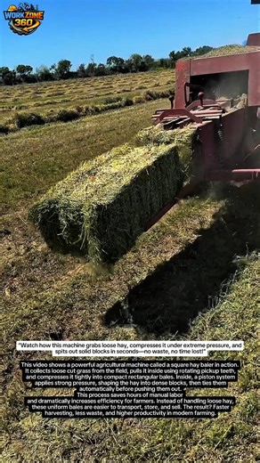 “This Machine Turns Grass Into Perfect Blocks in Seconds 🤯 USA Farmers Are Switching FAST!”
