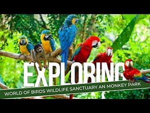 The Largest Bird Park In Africa/World Of Birds Wildlife Sanctuary And Monkey Park