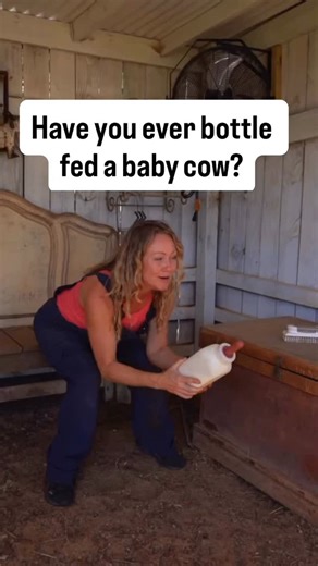 Feeding Hercules, our baby cow, is an experience you’ll never forget. His gentle nature and big eyes will melt your heart. It’s the perfect way to connect with the animals and experience the peace of farm life. 🐄💖 Ready to meet Hercules and more? Book your visit today and make memories with our adorable calves. 🌟 🔗 Tap the link in bio to reserve your spot! 📲 #BabyCow #HerculesTheCow #FarmLife #AnimalInteraction #FarmExperience #CalfCuddles #NatureHealing #AnimalTherapy #FarmAdventures #Book