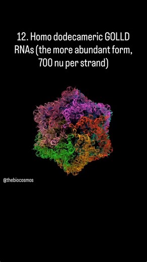 TheBioCosmos on Instagram: "I love these curiosity-driven studies like this because after decades of biological research, we still discover more and more things we have absolutely no idea why they are there and what do they do! These RNA structures are made of entirely RNA strands bonding with each other, and no, they are not man-made but naturally occurring in many bacteria. Not the boring single strands you often see in textbooks, these RNA molecules can bond in very specific ways to form 3D s