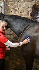 5.6K views · 30 reactions | Want to achieve the ultimate shine? ✨ Super Shine lotion is a concentrated high gloss, non-oil-based lotion for use on all body areas, manes and tails, and as a final finish 朗 Here sponsored rider Louise Bell uses it as a hot cloth treatment on her lovely horse, Duggie, to moisturise the coat, leaving it healthy and shiny all year round   - https://smartgrooming.com/products/super-shine?_pos=1&_psq=supershine&_ss=e&_v=1.0 | Smart Grooming | Facebook