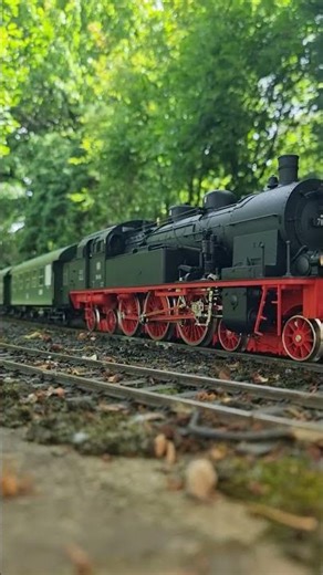 Almost immaculate BR78 #gardenrailway #trains #märklin #spur1 #gauge1