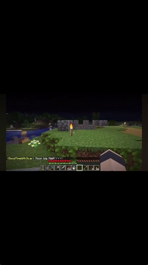 Geminitay, Smallishbeans, and Bdoubleo100 on the Wild Life SMP