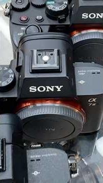 Sony A7ii A7iii and A7 iv