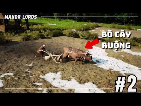 Manor Lords #2 - Năm Thứ Hai Phát Triển, Cướp Tới Nhà Chơi