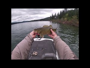 Idaho bass fishing lake Coeur D Alene
