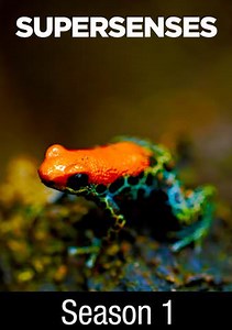 Supersenses: Invisible World