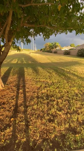 @mas0nrohn3r is very good at animating #surron #surronebike #surronlightbee #surronx @surronster @champnaegle