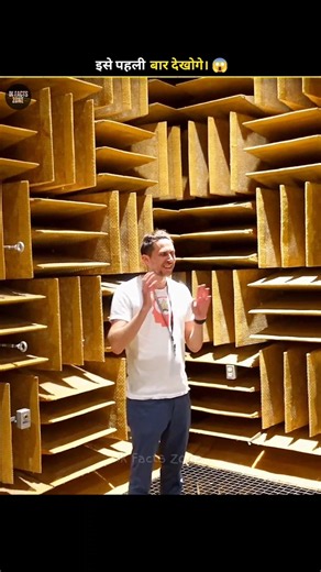 The Quietest Room On Earth 😱