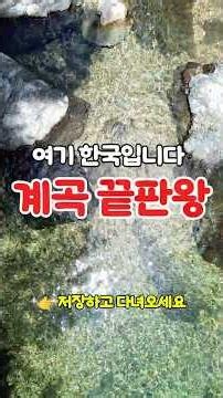 무료 계곡 스노클링 여기가 천국이다 #계곡 #계곡추천 #차박 #캠핑 #스노클링 #낚시 #차박지 #카니발#캠핑장 #스노쿨링 #노지 #가족여행 #노지차박 #백패킹텐트 #백패킹 #여행