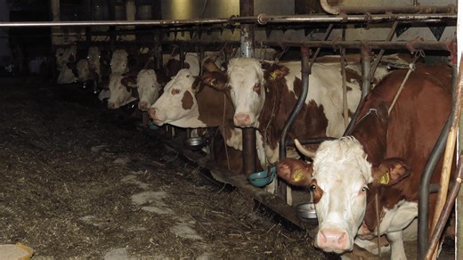 The Methane Bomb Beneath Our Feet—Are We Running Out of Time?