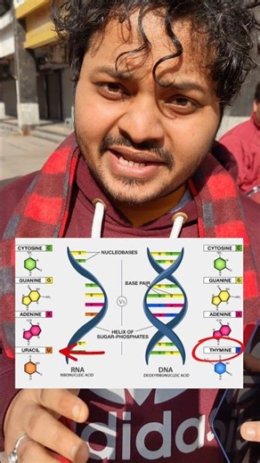 🗣️DNA vs RNA | Key Differences #shorts #unfilteredclasses