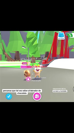 Help Me Find My Neon Adopt Me Pet