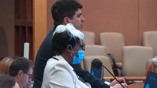 Court hearing held for Atlanta Falcons 'BirdLady' in theft case