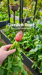 🥕 Part 1. Front yard Raised Bed Veggie Garden Tour 🌱🥬🫜 anyone else love a mixed bed? 👇 | Sustainable Holly