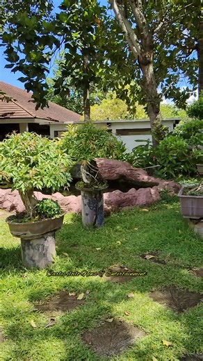 Solina Beach and Nature Resort CARLES,ILOILO | Carles Iloilo News & Entertainment