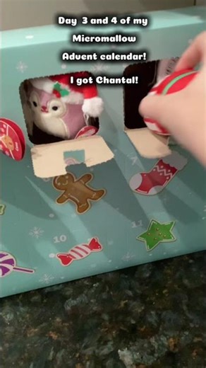 Days 3 and 4 of my Micromallow advent calendar! 🎄☃️⭐️🎁🫶🏻 || @squishmallows #birthday ||