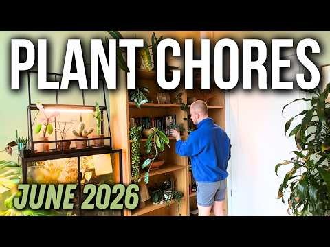 Plant Chores (Setting Up A Greenhouse Cabinet, Repotting, Wishlist Unboxing) | June 2026