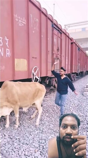 Train Ke Neeche aane se bachaya cow ko #shorts #ytshorts #youtubeshorts #railway #train #locopilot