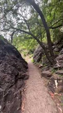 springbrook national park QLD