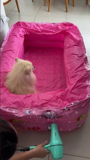 Inflatable children's pool, 300 liters