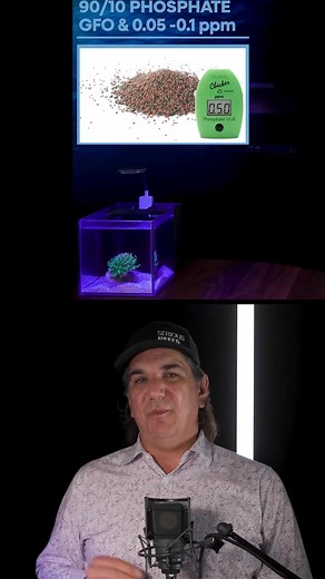Week 3 -SR101 #reeftank #saltwateraquarium #coral #seriousreefs | Serious Reefs