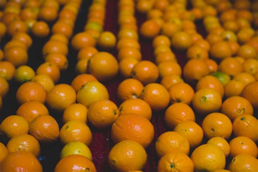 USDA Reopens Acreage Reporting Period for Assistance for Specialty Crop Farmers Program - California Citrus Mutual