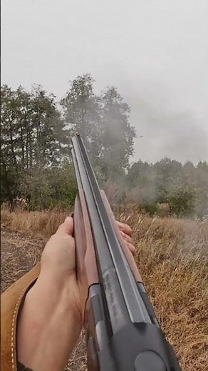 Охота на утку с дратхаарами, девушка охотник / Duck hunting with German Wirehaired Pointer